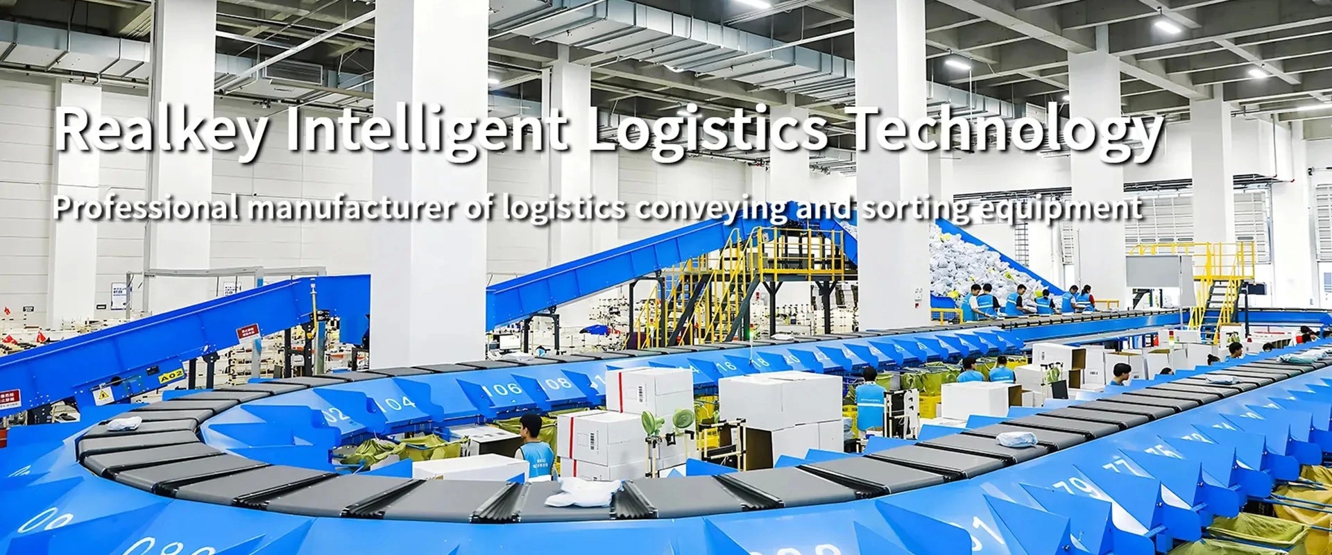 quality Warehouse Sorter factory