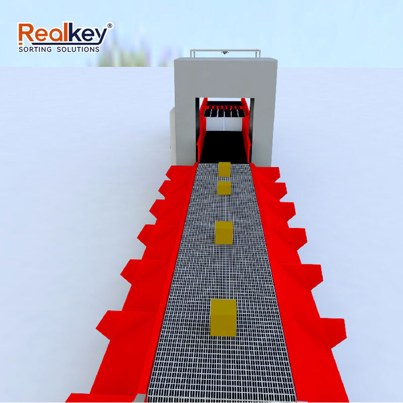 Modular Belt Sorter with 99.99% Accuracy & Low Maintenance