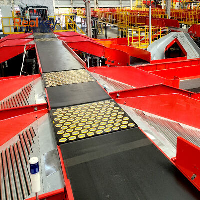 Good price New Realkey Flexible Swivel Wheel Sorter with 50 kg Load Capacity High Maneuverability and Customizable Dimensions for High-speed Package Sorting online